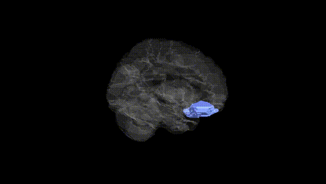 Hemisphere Black