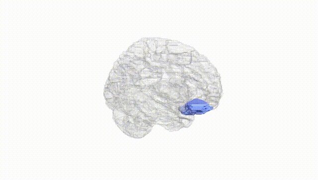 Hemisphere White