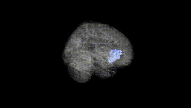 Full Brain Black