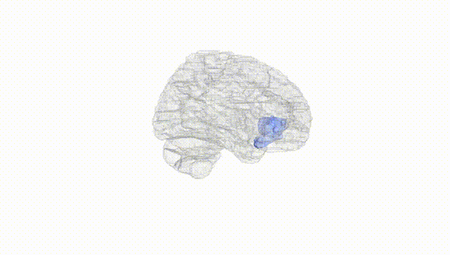Hemisphere White