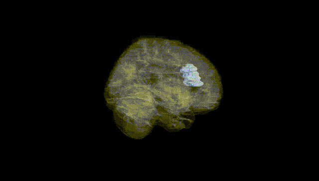 Full Brain Black