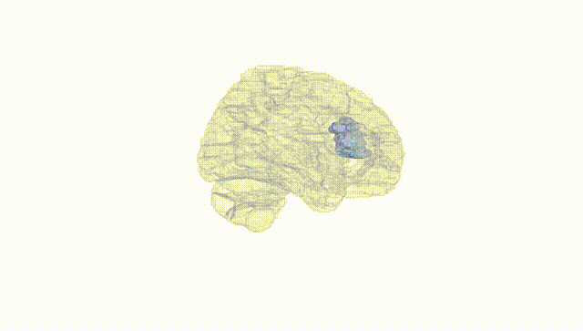 Hemisphere White