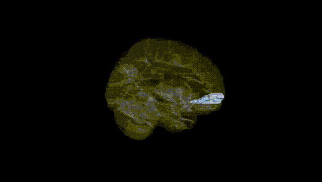 Hemisphere Black