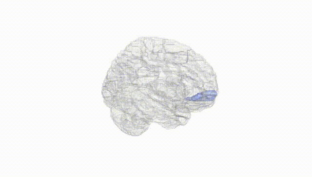 Hemisphere White