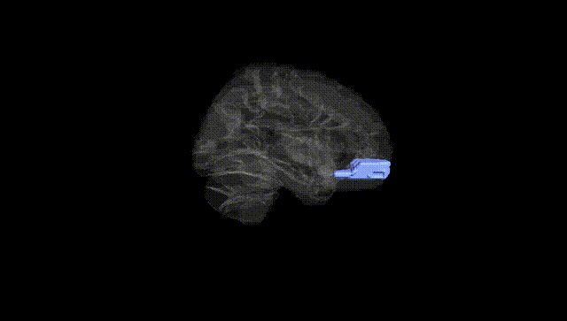 Hemisphere Black