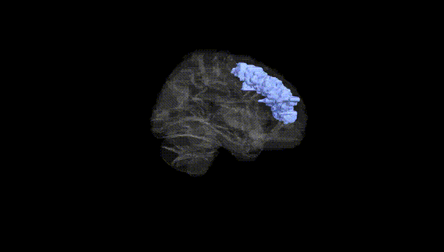 Hemisphere Black