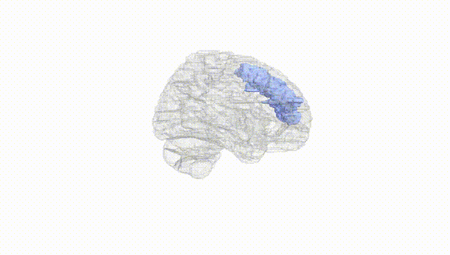 Hemisphere White