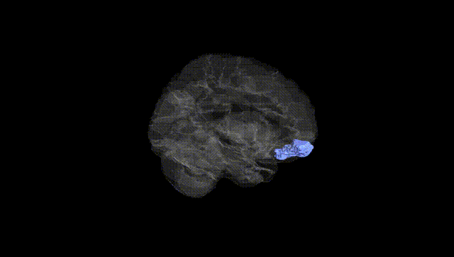 Hemisphere Black