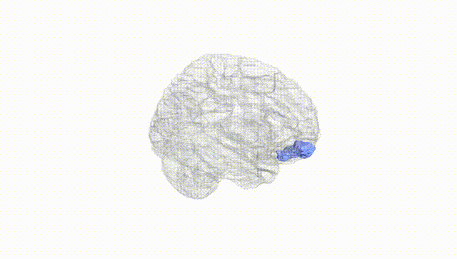 Hemisphere White