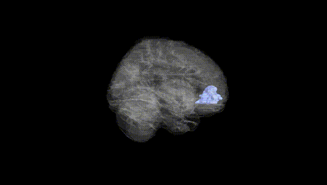 Full Brain Black