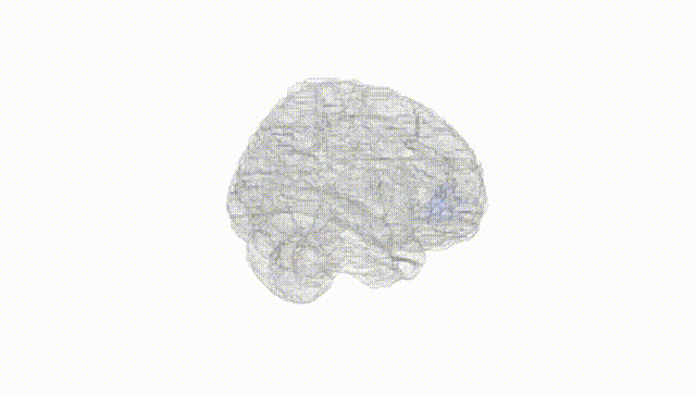 Full Brain White