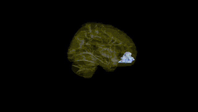 Hemisphere Black