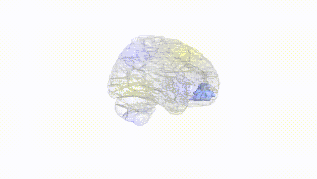 Hemisphere White