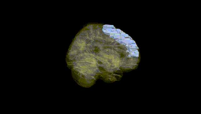 Full Brain Black