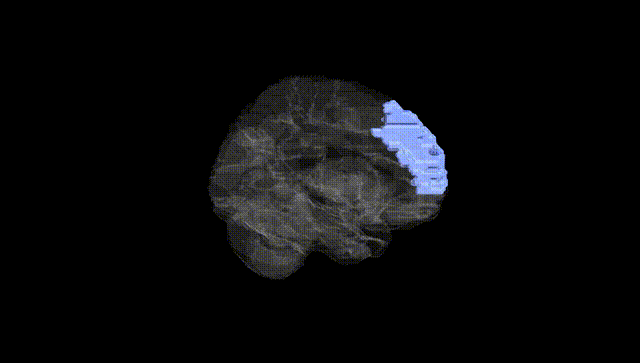 Hemisphere Black