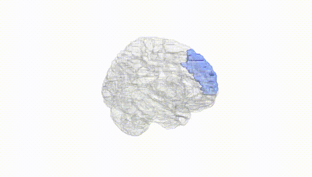 Hemisphere White
