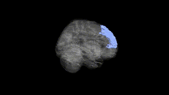 Full Brain Black