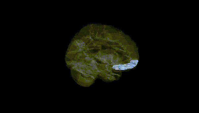 Hemisphere Black