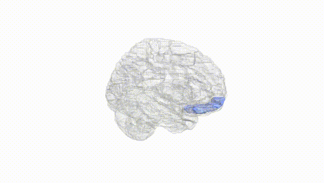 Hemisphere White