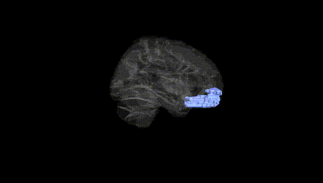 Hemisphere Black