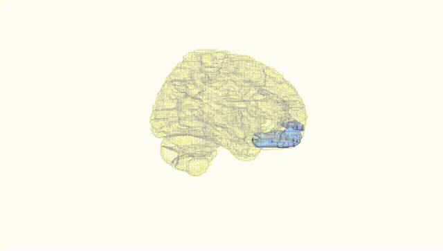 Hemisphere White