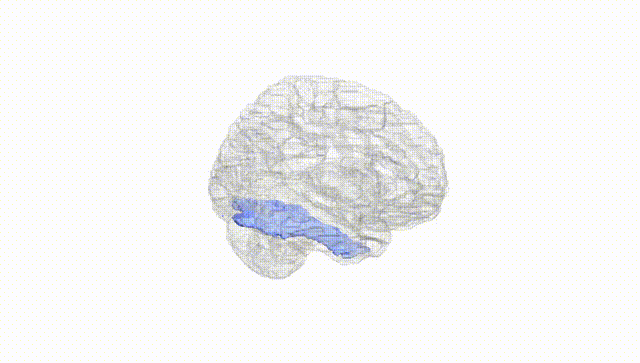 Hemisphere White