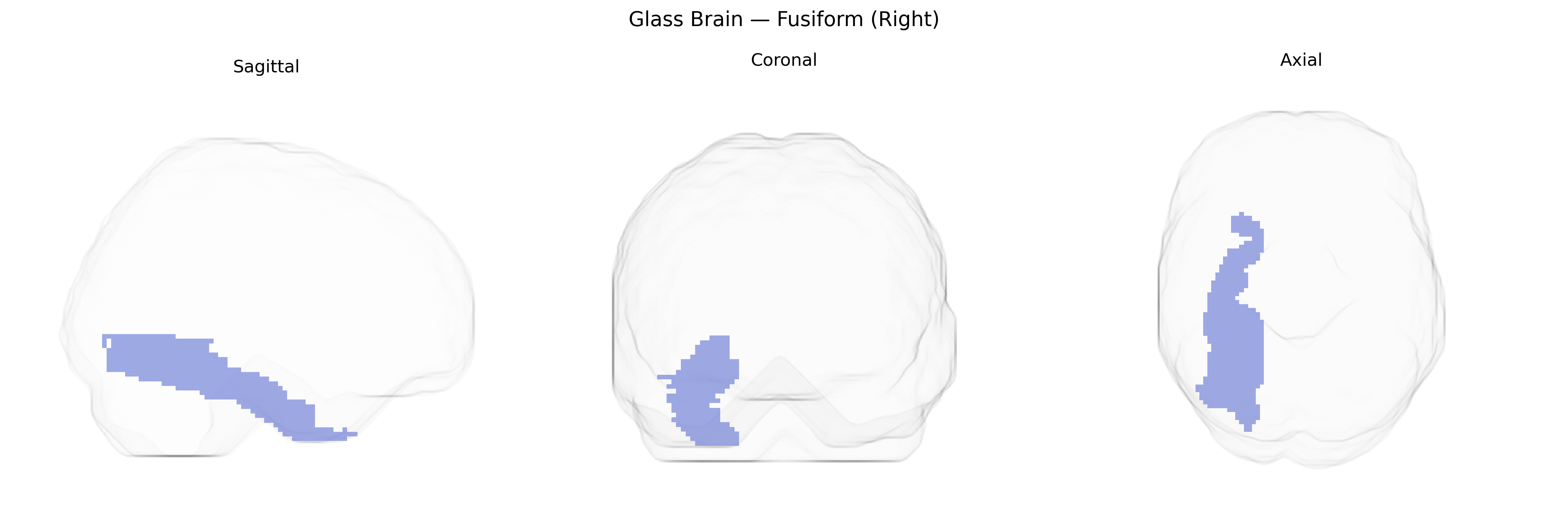 Triplanar Ghost Brain