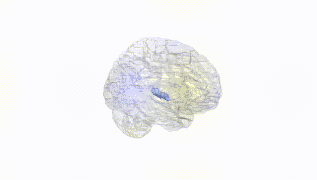 Hemisphere White