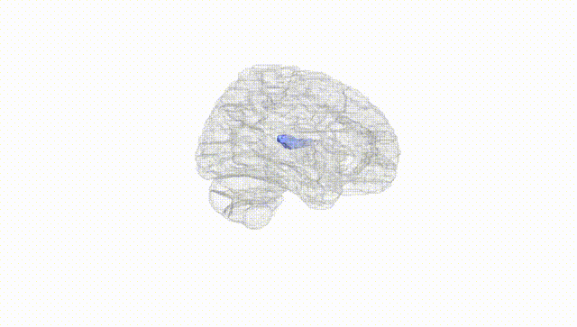Hemisphere White
