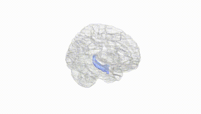 Hemisphere White