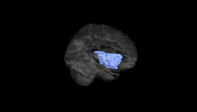 Hemisphere Black