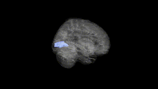 Full Brain Black