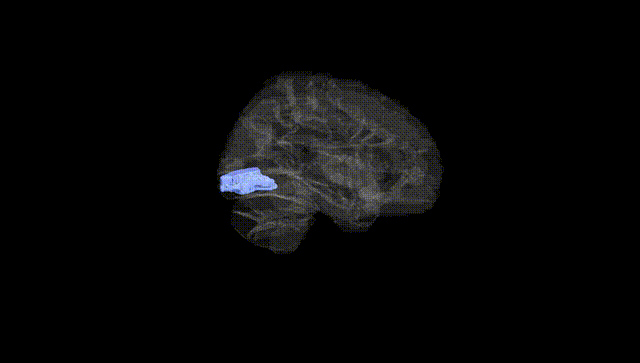 Hemisphere Black