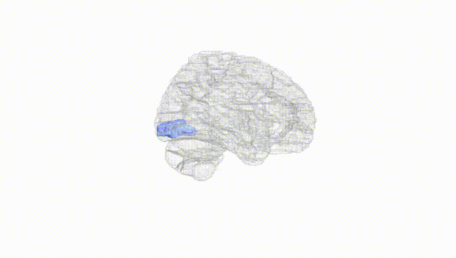 Hemisphere White