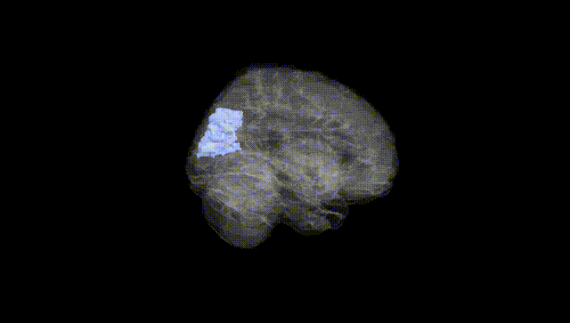 Full Brain Black