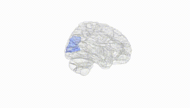 Hemisphere White