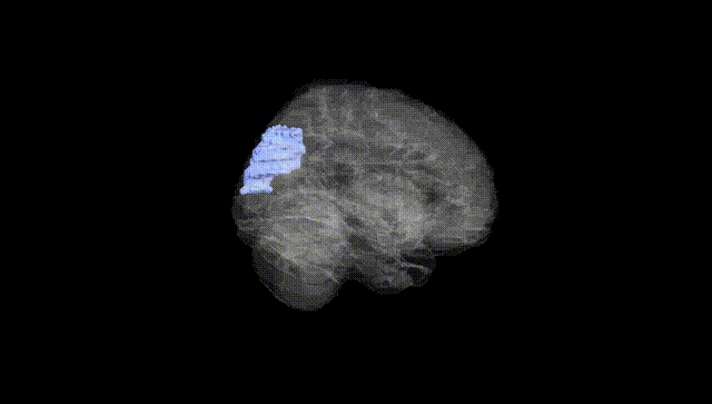 Full Brain Black