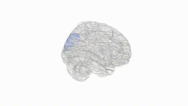 Full Brain White