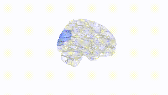 Hemisphere White
