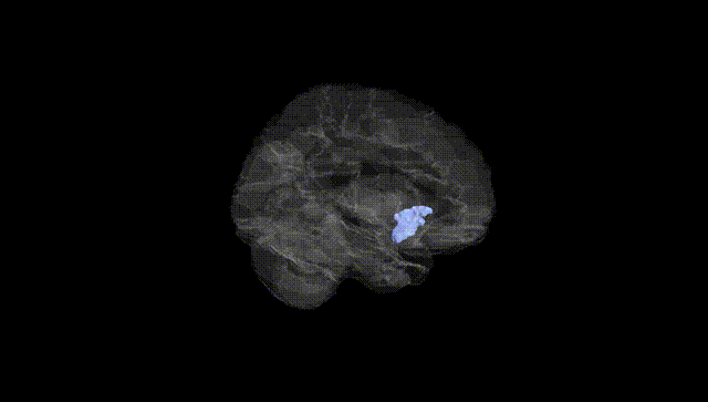 Hemisphere Black
