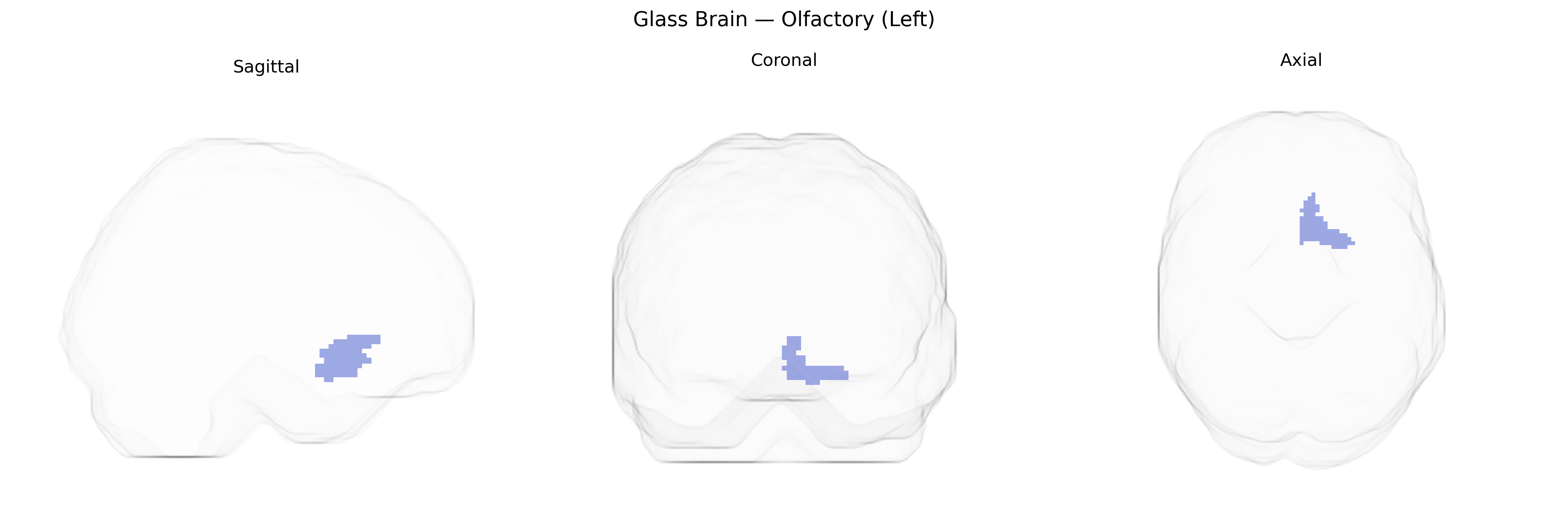 Triplanar Ghost Brain