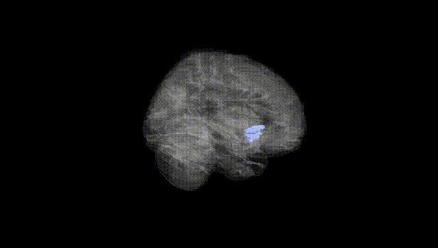 Full Brain Black