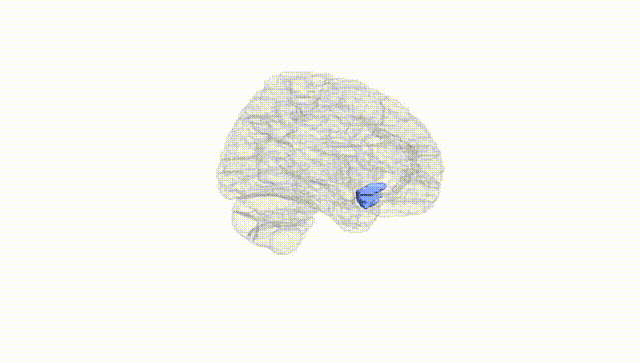 Hemisphere White