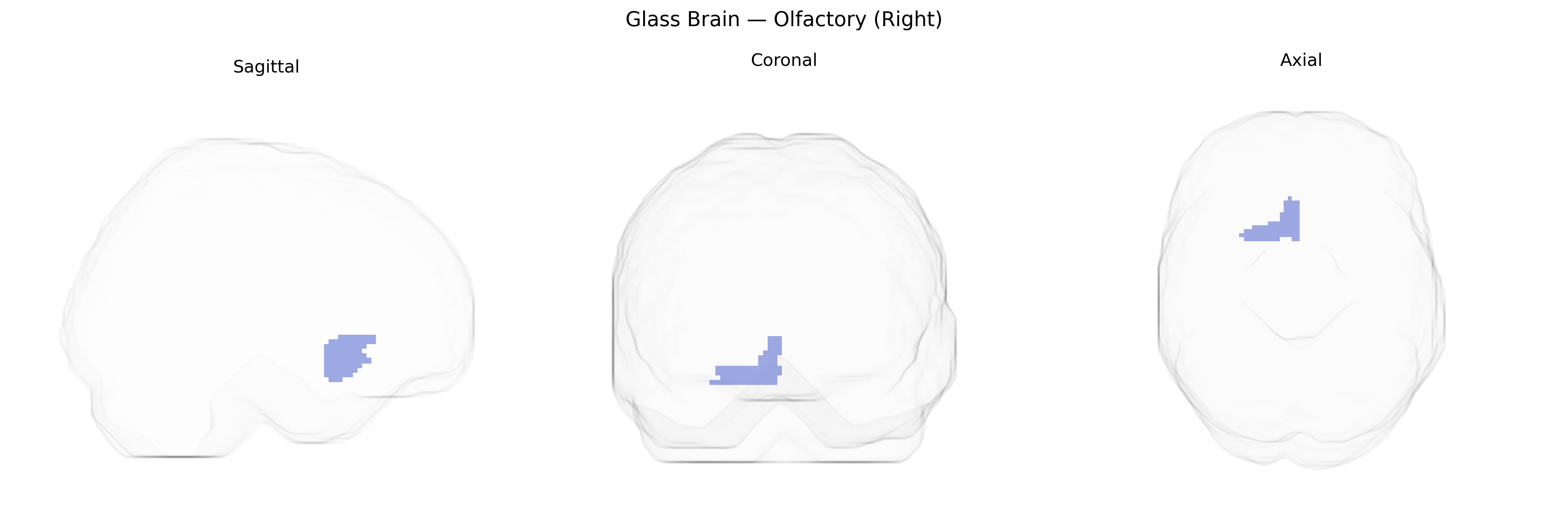 Triplanar Ghost Brain
