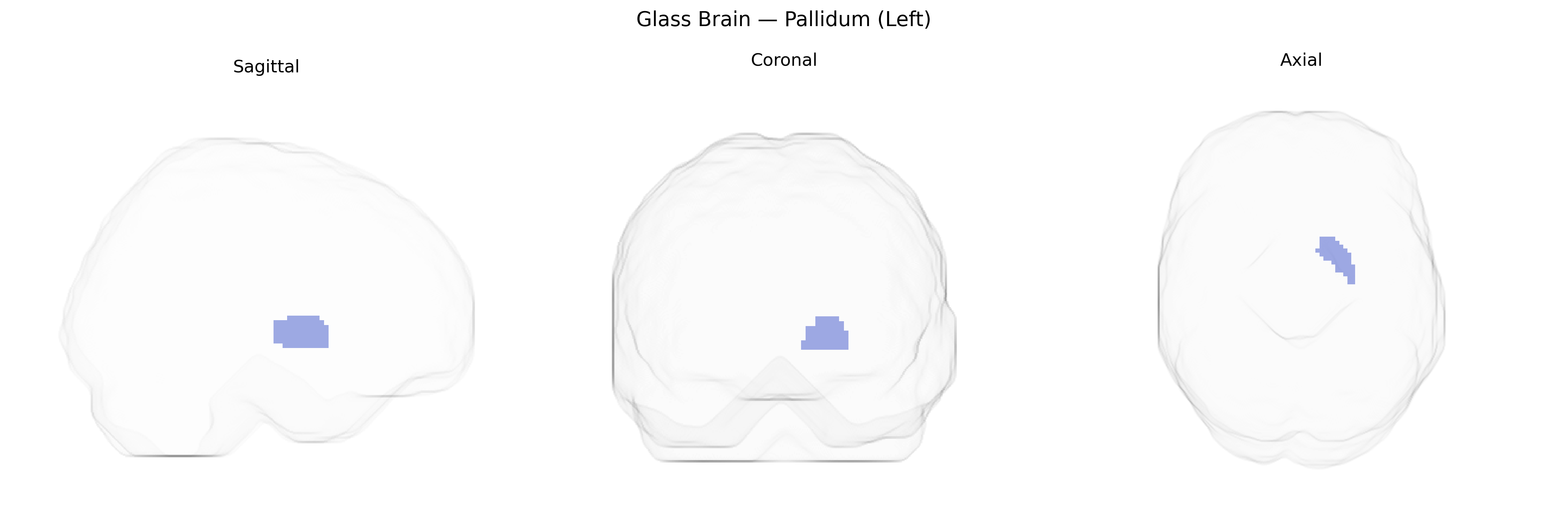 Triplanar Ghost Brain