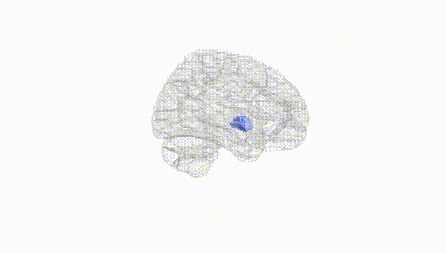 Hemisphere White