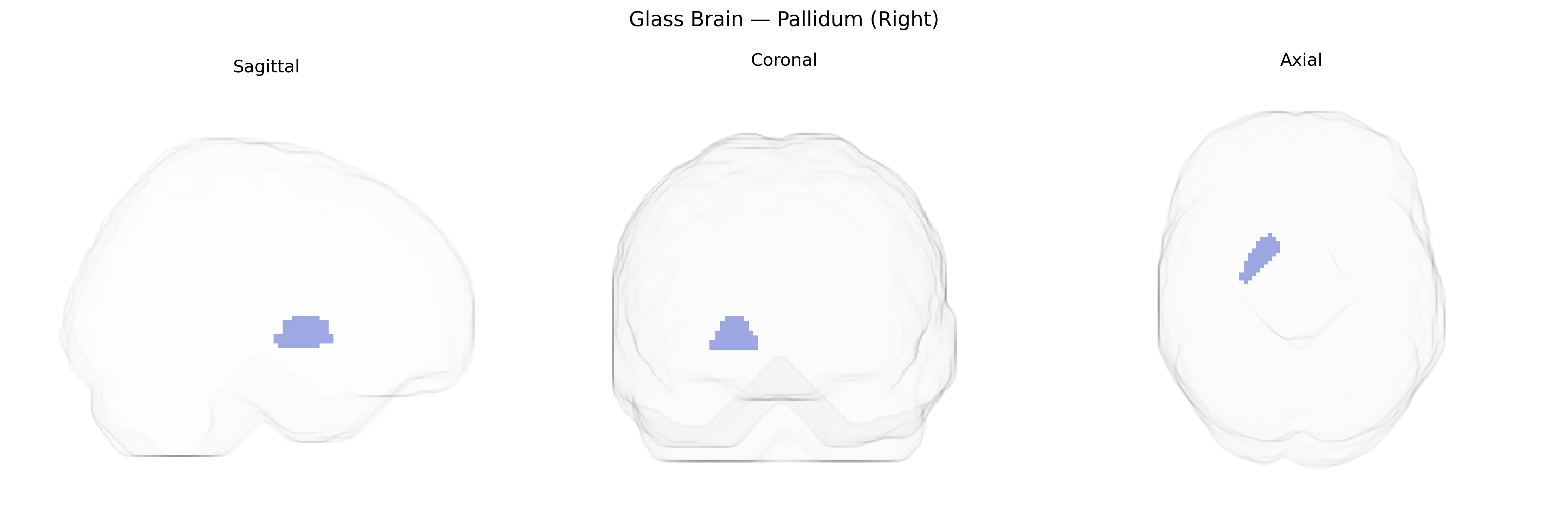Triplanar Ghost Brain