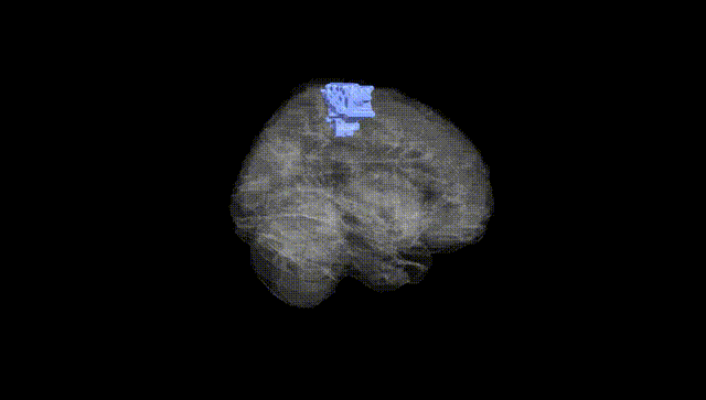 Full Brain Black