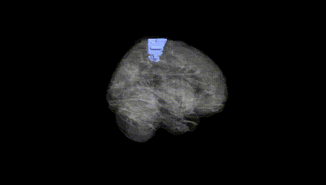 Full Brain Black