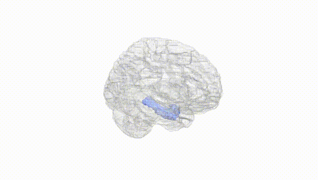 Hemisphere White